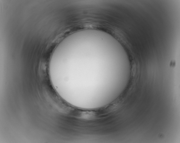 X0000113640363200909181335