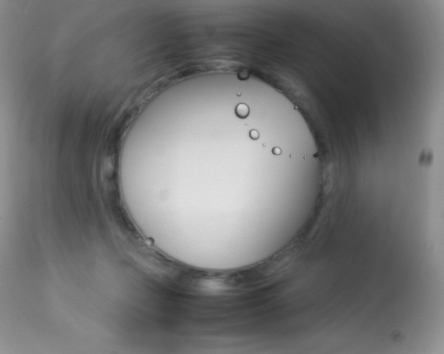 X0000113640365200909181335