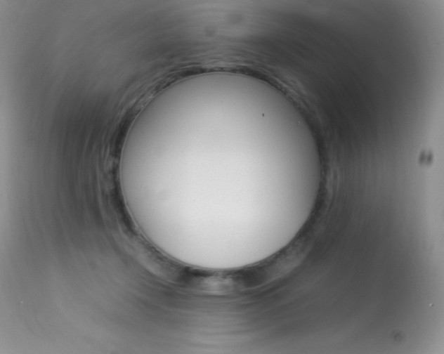 X0000113640366200909181335