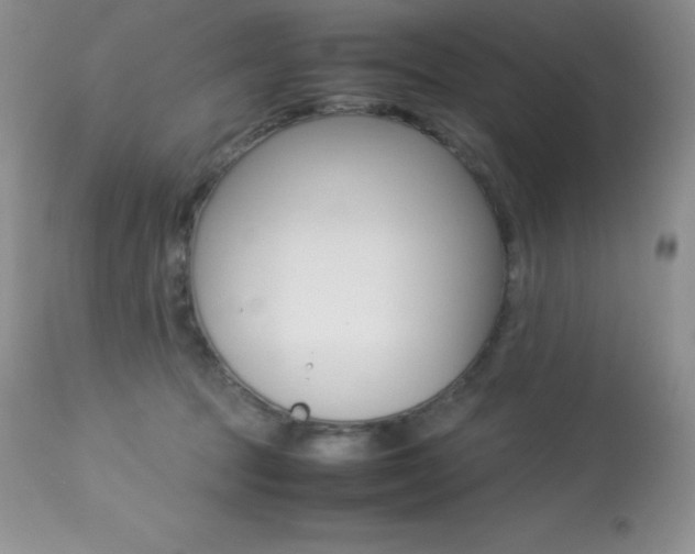 X0000113640369200909181335