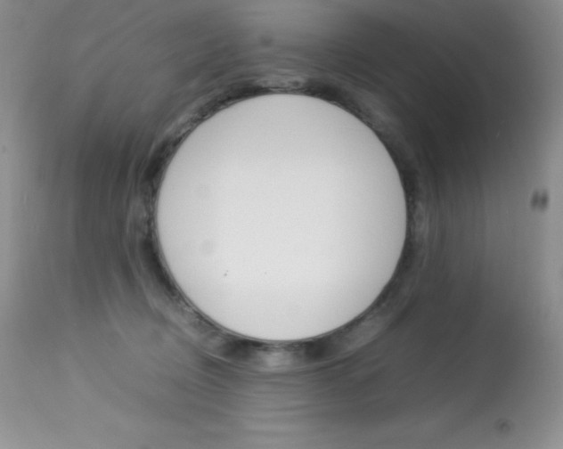 X0000113640370200909181335
