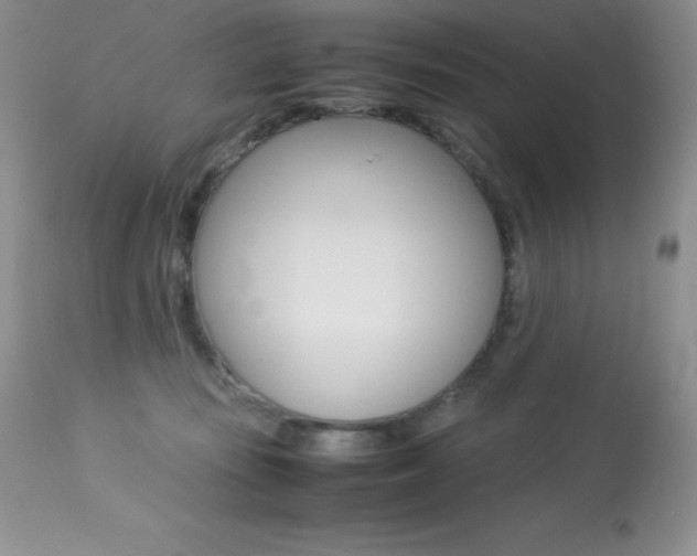 X0000113640371200909181335