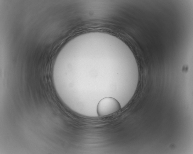 X0000113640372200909181335