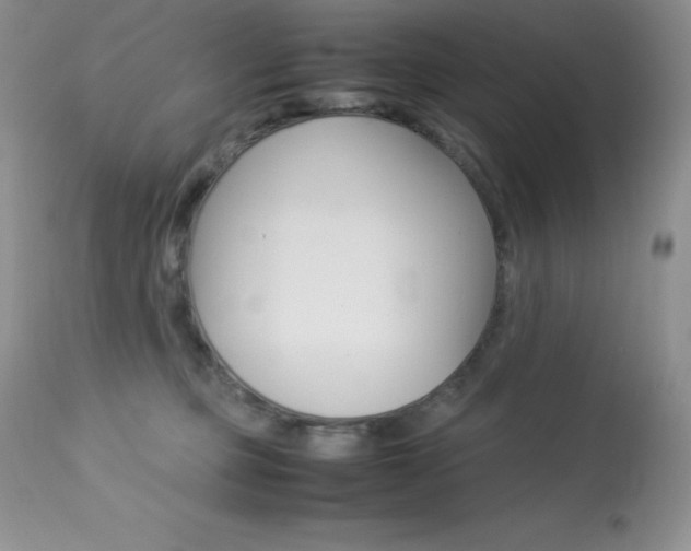X0000113640373200909181335