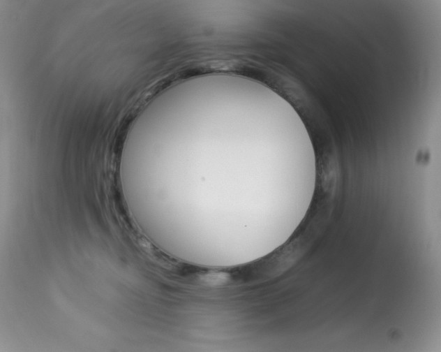 X0000113640374200909181335