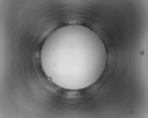 X0000113640375200909181335