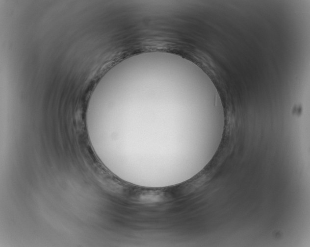 X0000113640377200909181335
