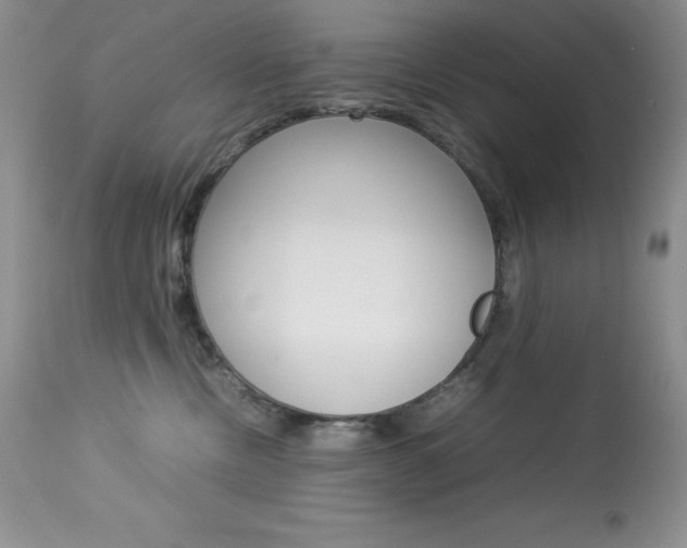 X0000113640378200909181335