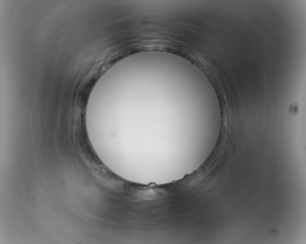 X0000113640379200909181335