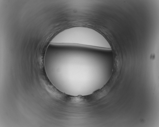 X0000113640380200909181335