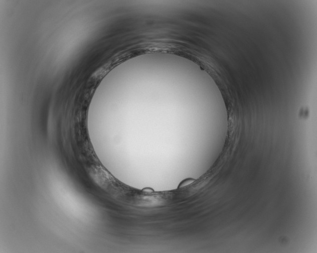 X0000113640381200909181335