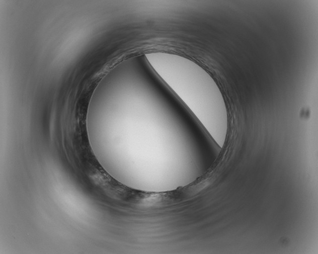 X0000113640382200909181335