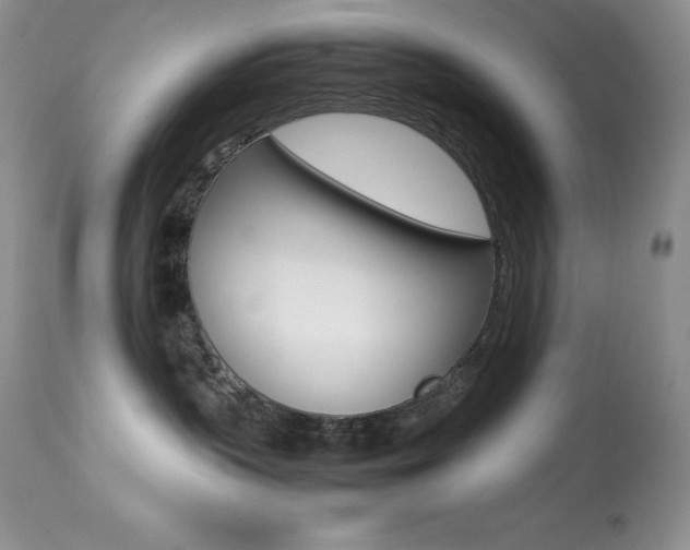 X0000113640383200909181335