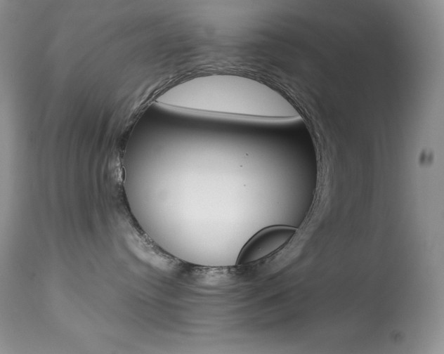 X0000113640384200909181335
