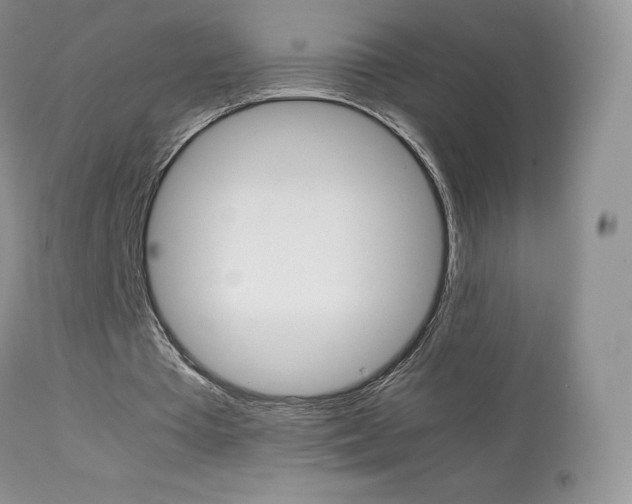 X0000113640385200909181334