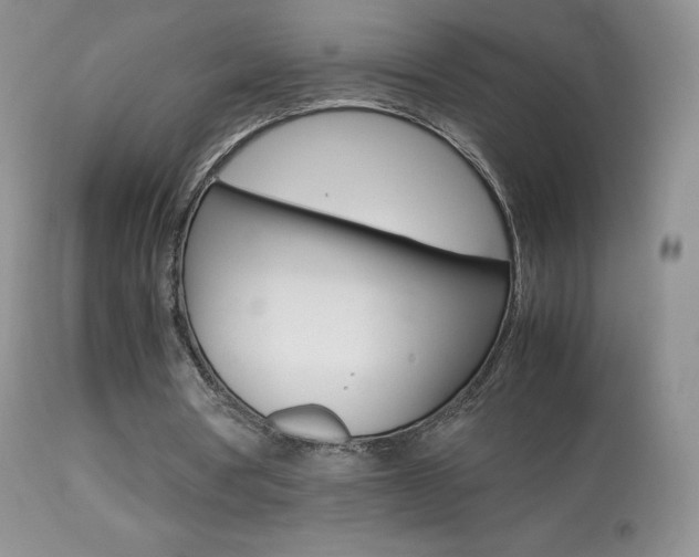 X0000113640386200909181334