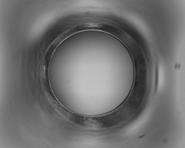 X0000113640387200909181334