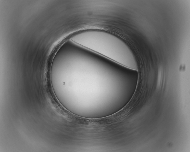 X0000113640388200909181334