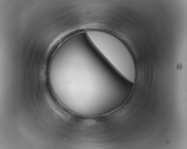 X0000113640392200909181334