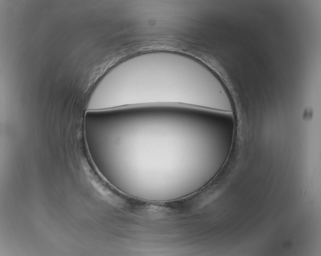 X0000113640393200909181334