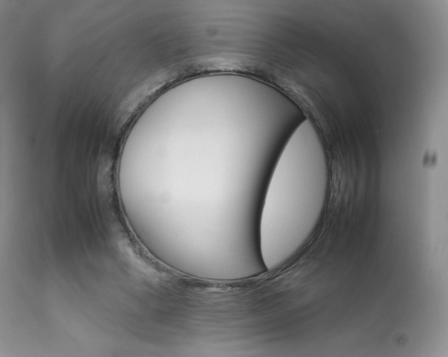 X0000113640394200909181334