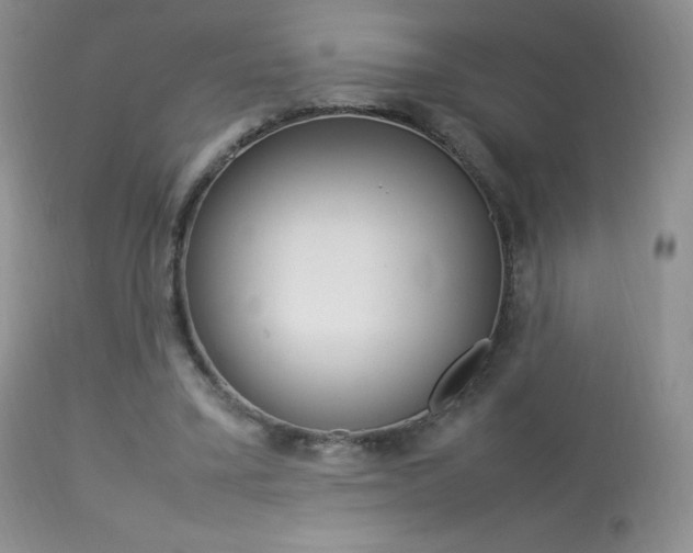 X0000113640395200909181334