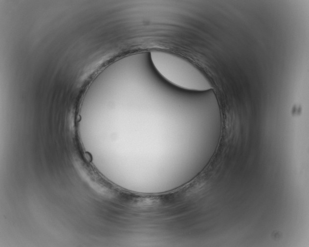 X0000113640398200909181334