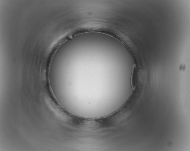 X0000113640399200909181334