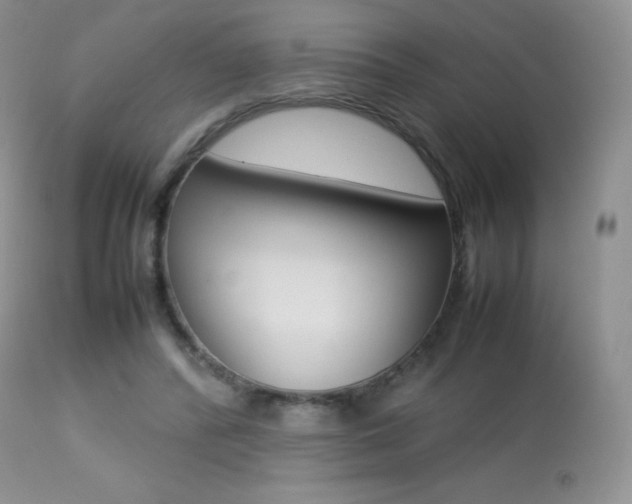 X0000113640400200909181334