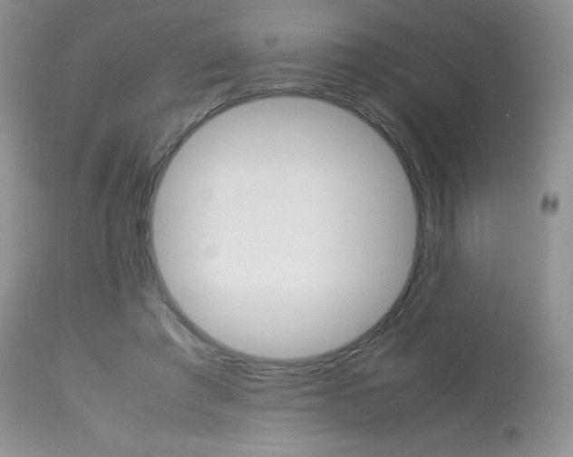 X0000113640401200909181334