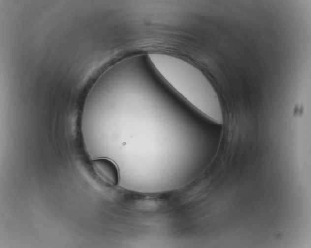 X0000113640404200909181334