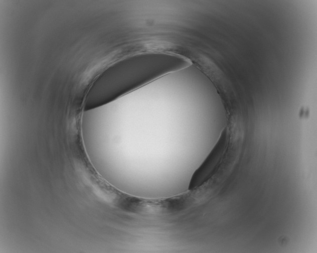 X0000113640405200909181334