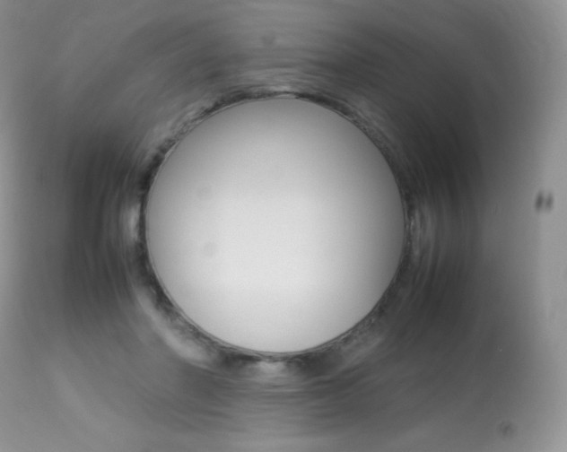 X0000113640406200909181334