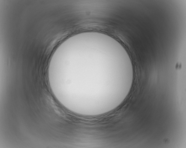 X0000113640407200909181334