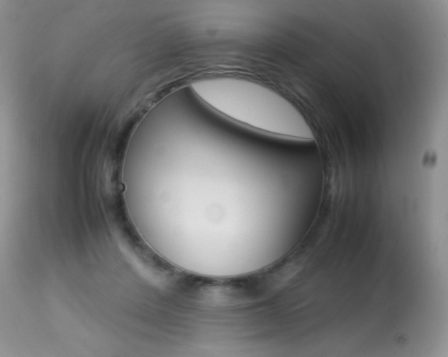 X0000113640408200909181334