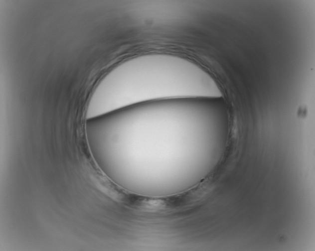 X0000113640409200909181334