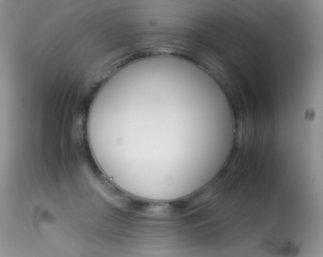 X0000113640410200909181334