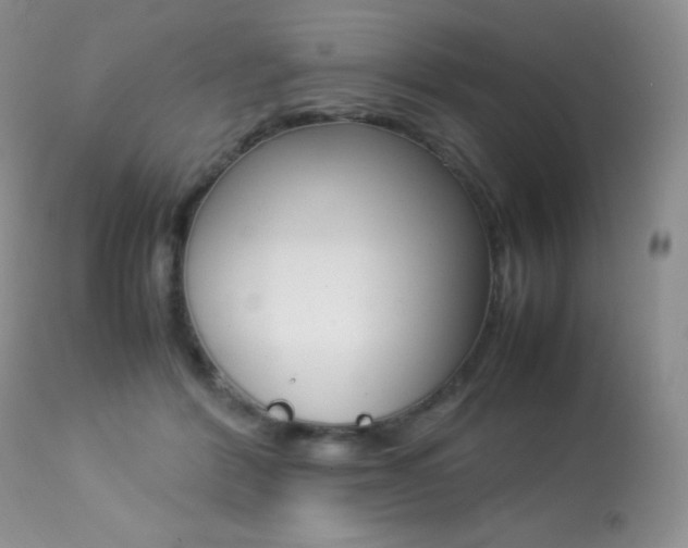 X0000113640412200909181334