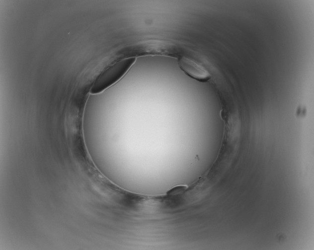X0000113640413200909181334