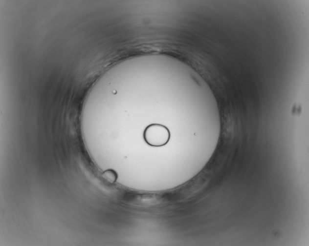 X0000113640414200909181334