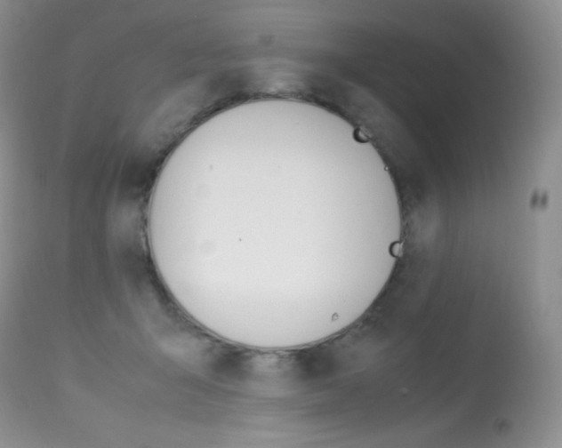 X0000113640415200909181334