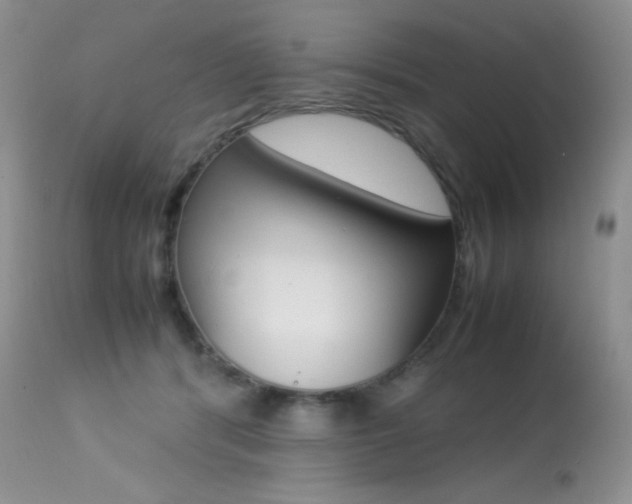 X0000113640416200909181334