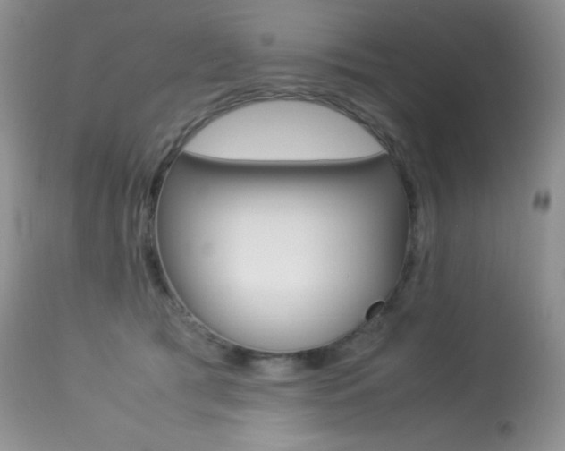 X0000113640417200909181334