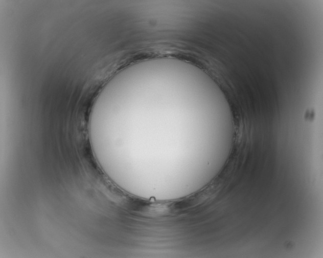 X0000113640418200909181334