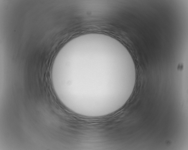 X0000113640419200909181334