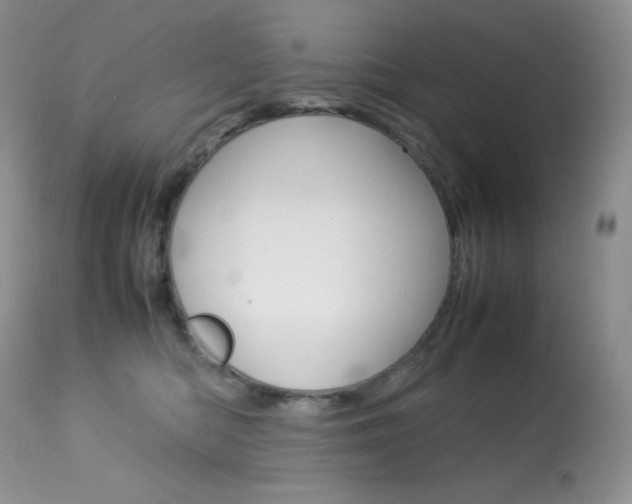 X0000113640422200909181334