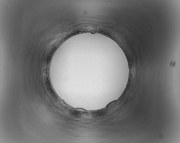 X0000113640423200909181334