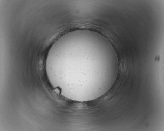 X0000113640424200909181334