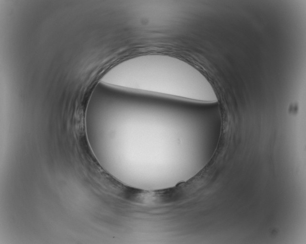 X0000113640425200909181334
