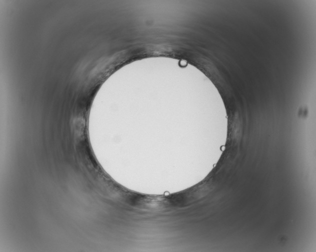 X0000113640427200909181334